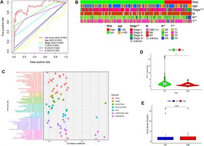 Correlation Between Immune Cell Infiltration and PD-L1 Expression and Immune-Related lncRNA Determination in Triple-Negative Breast Cancer